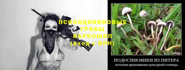 метадон Абаза
