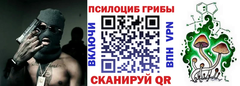 Галлюциногенные грибы Psilocybe  где найти   Лакинск 